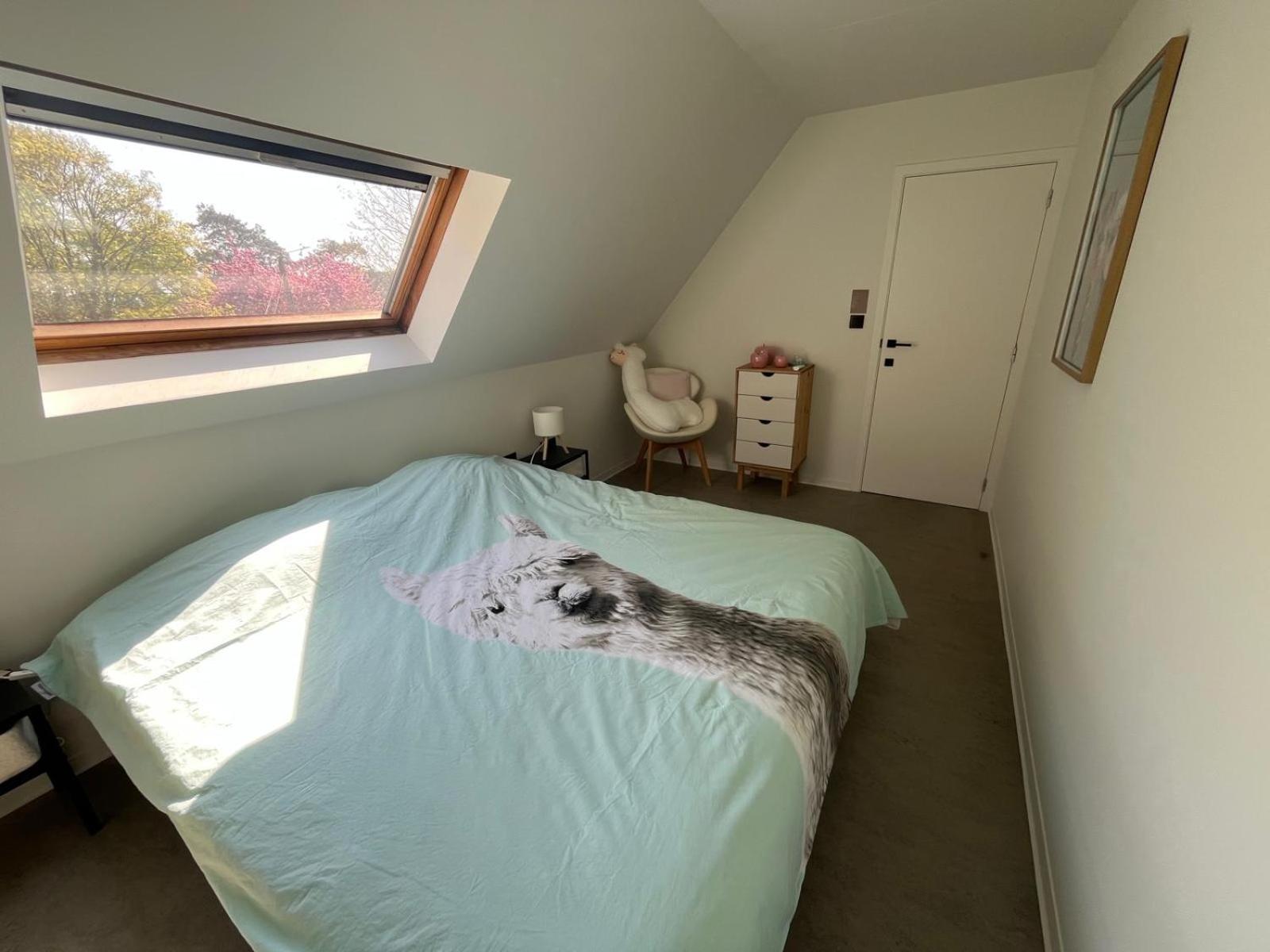 Gt Lounge Villa Heusden-Zolder Eksteriør billede